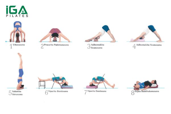 Các tư thế cơ bản trong Iyengar Yoga