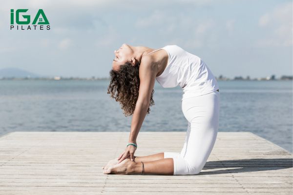 Tư thế lạc đà (Camel Pose)