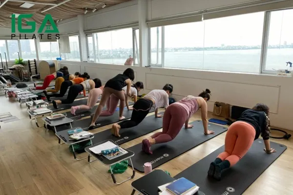 Tập Pilates và khoá học HLV Pilates tại Paragate Yoga & Pilates giá bao nhiêu?