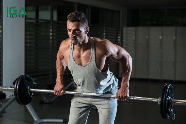 Hướng dẫn tập Bent Over Barbell Row đúng kỹ thuật