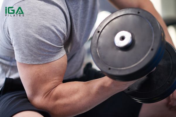 Hướng dẫn thực hiện Bicep Curls cho người mới bắt đầu