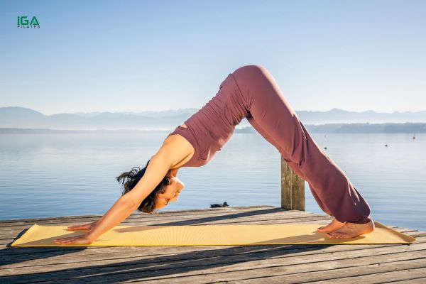 Vrikshasana (Tư thế cây) động tác yoga cơ bản tại nhà