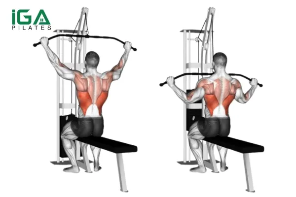 Tập luyện Lat Pulldowns để hỗ trợ cho động tác Chin Up