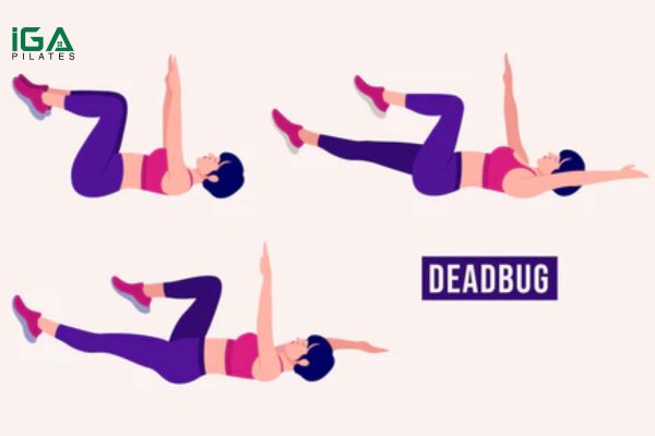 Hướng dẫn tập Dead Bug đúng kỹ thuật cho người mới bắt đầu