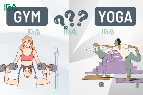 gym-mang-den-suc-manh-the-chat-con-yoga-nuoi-duong-su-binh-an-trong-tam-hon.webp