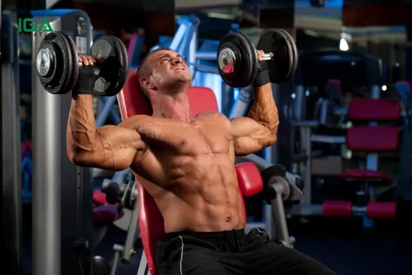 Tập tạ cho vai (Shoulder Press)