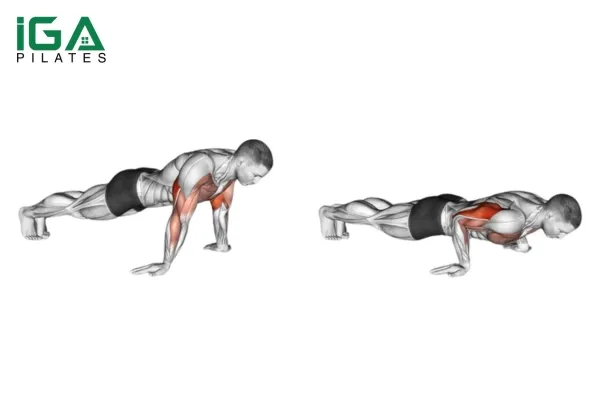 Reverse Hands Pushup - một biến thể độc đáo với bàn tay ngược về phía sau