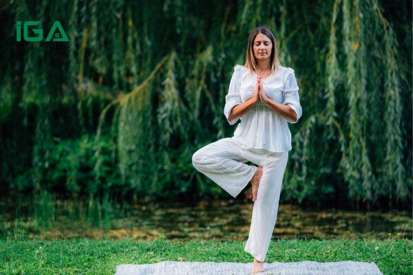  Tư thế cái cây trong yoga rèn luyện sự tập trung, nuôi dưỡng tâm trí bình an