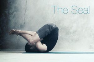 pilates seal