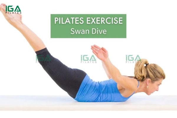 Động tác Spine Stretch Forward