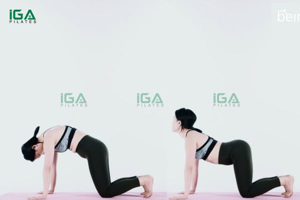 Động tác Wall Roll Down