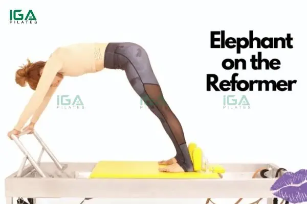 Single Leg Tendon Stretch kết hợp Elephant