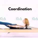 Bài tập Coordination trên Reformer và Cadillac hỗ trợ phục hồi chấn thương lưng hiệu quả