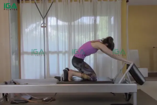 Các nhóm cơ lớn như đùi và mông được kích hoạt mạnh mẽ trong quá trình tập