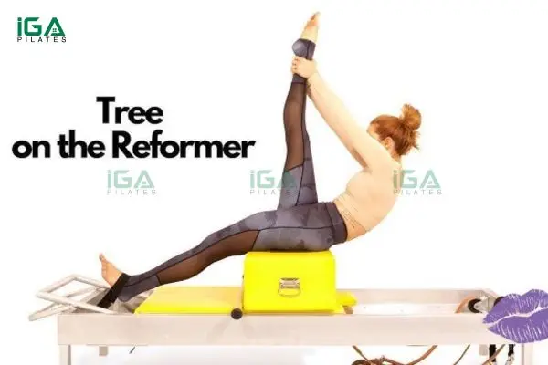 Hướng dẫn thực hiện bài tập Pilates Tree trên Reformer cho dáng đẹp và cơ thể khỏe mạnh 2 Động tác Tree hỗ trợ làm mạnh cơ bụng và tăng khả năng kiểm soát vùng core hiệu quả