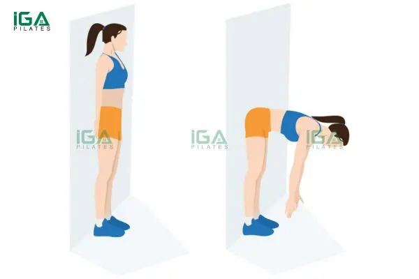 Bài tập pilates với tường - Dáng xinh, eo thon gọn 6 Động tác Wall Roll Down