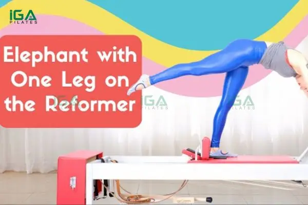 Hướng dẫn thực hiện bài tập Pilates Single Leg Elephant trên Reformer đúng kỹ thuật 3 Người tập có thể cảm nhận rõ sự thay đổi tích cực sau mỗi buổi tập đều đặn