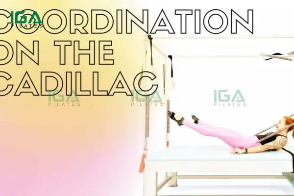 Hướng dẫn thực hiện bài tập Coordination trên Reformer và Cadillac cho người mới bắt đầu 9 Người tập dễ dàng nâng cao sức bền khi kết hợp Coordination với các động tác khác