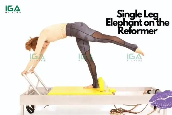 Hướng dẫn thực hiện bài tập Pilates Single Leg Elephant trên Reformer đúng kỹ thuật 1 Pilates Single Leg Elephant giúp cải thiện sức mạnh và độ linh hoạt toàn thân