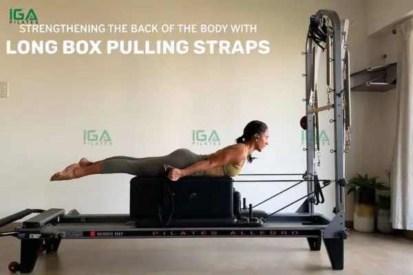 Pull Straps phù hợp với cả nam và nữ muốn cải thiện sức mạnh thân trên