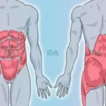 Tập trung vào core giúp cải thiện tư thế và sức mạnh toàn thân