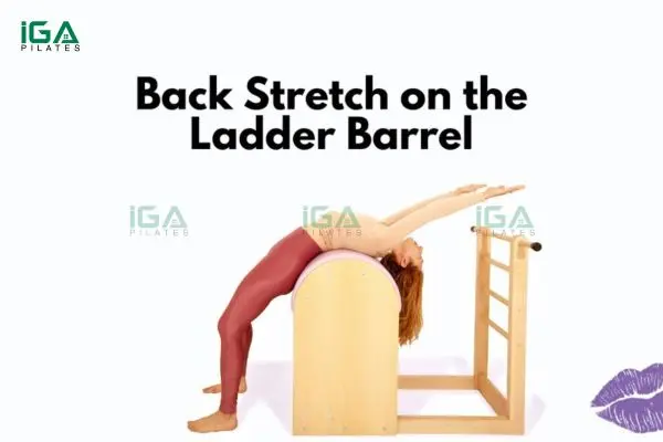 Bài tập Back Extension trên Ladder Barrel